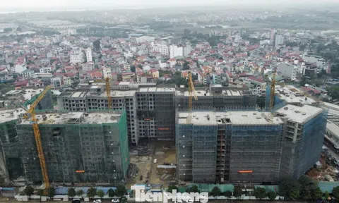 Người mua nhà ở xã hội có được nộp hồ sơ nhiều dự án?