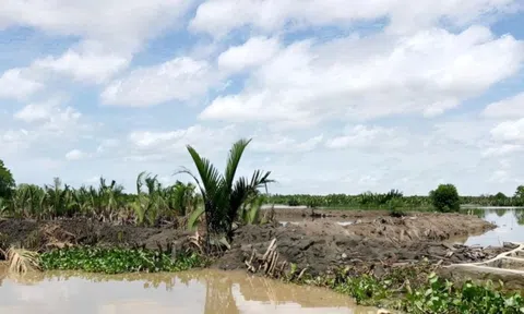 Danh tính hai người đàn ông chiếm gần 29 ha đất công