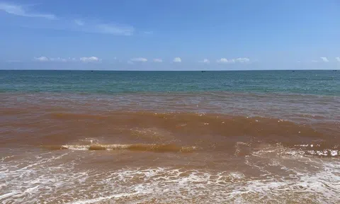 Nước biển ở Gia Lai bất ngờ đổi màu đỏ lạ, người dân lo ngại