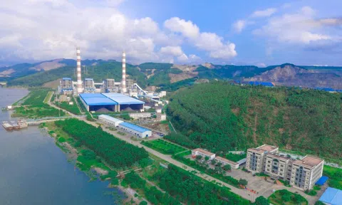 Chủ tịch Nhiệt điện Quảng Ninh lên tiếng về việc Phó Tổng Giám đốc kiêm Thành viên HĐQT bị khởi tố, bắt tạm giam