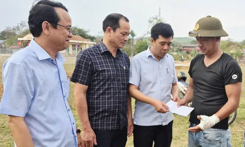 Vụ trâu đực rượt đuổi rồi húc 2 người bị thương: Trâu dữ đã "vượt biên"