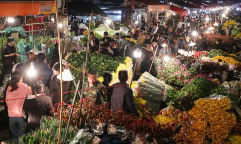 Đêm không ngủ tại chợ hoa Tết lớn nhất Hà Nội