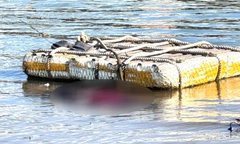 Thi thể nghi nữ giới trôi dạt vào cửa biển Nhật Lệ