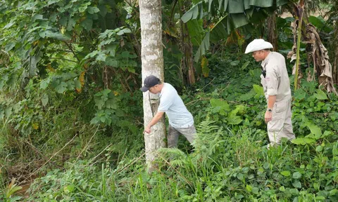 Người dân liên tiếp báo tin về mối nguy hiểm vừa "lộ diện" sau hàng chục năm