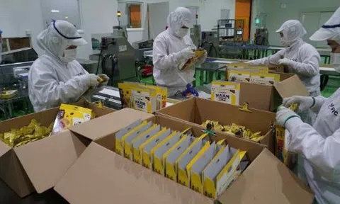 Một ‘đại bàng’ Nhật Bản chọn Việt Nam xây tổ, nước ta trở thành trung tâm xuất khẩu đi 12 nước