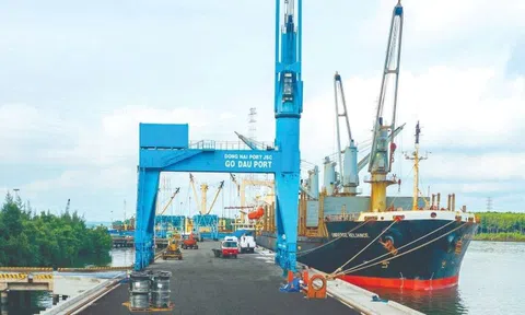 Nắm giữ gần 900 tỷ tiền mặt, một doanh nghiệp cảng biển 6.500 tỷ chốt ngày chi cổ tức tiền mặt 20%