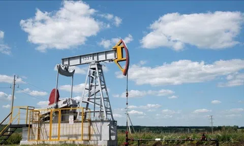 Giá dầu thô bật tăng 7%