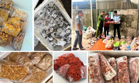 4 tấn nầm lợn, tràng trứng, chả mực, bạch tuộc… không rõ nguồn gốc suýt vào quán nhậu: Lời khai gây giật mình của chủ kho đông lạnh