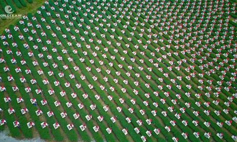 Đôi Dép - Khi con đường không có đèn đỏ