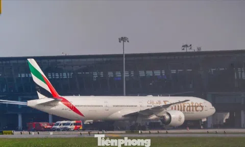 Cận cảnh máy bay 'nhà giàu' Trung Đông đang nằm chờ ở Nội Bài