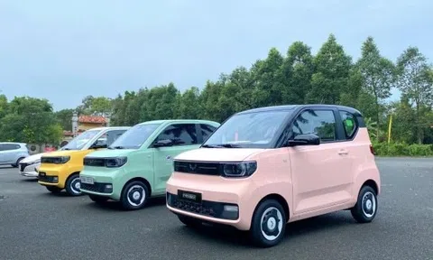 Bị "đánh bật" bởi 45.000 chiếc VF 3, đối thủ của tỷ phú Phạm Nhật Vượng âm thầm rút lui khỏi Việt Nam?