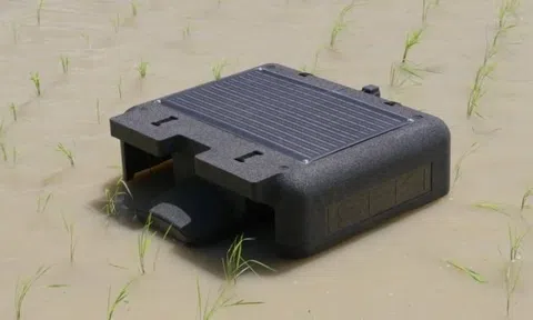 VN làm thành công dự án đầu tiên trên TG trong lĩnh vực nuôi sống một nửa nhân loại: Vừa áp dụng robot AI