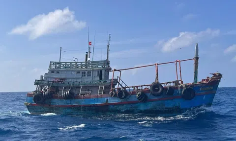 Cảnh sát biển bắt giữ tàu vận chuyển dầu D.O trái phép