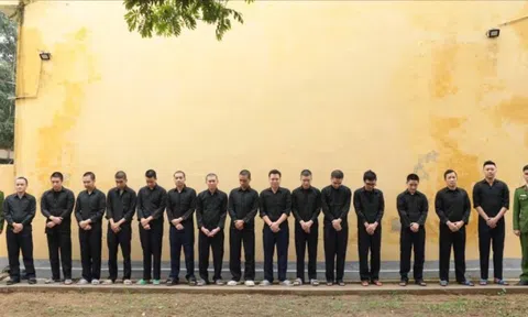 Vụ án 'Xôi Lạc TV': Khởi tố thêm 8 bị can, phong tỏa 58 tài khoản ngân hàng, thu giữ nhiều xe sang