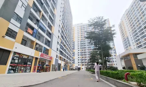 Tổng rà soát hồ sơ mua, thuê nhà ở xã hội