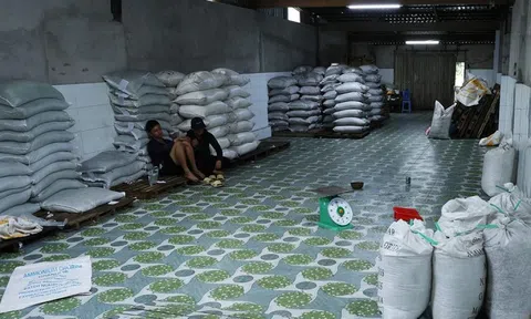 Kiểm tra cửa hàng vật tư nông nghiệp, thu giữ hàng chục tấn phân bón không phép