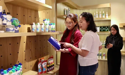 Câu chuyện trái dừa Việt được kể tại “phố hàng hiệu” Thủ đô