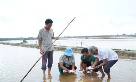 Thiệt hại nặng nề vì mưa trái mùa