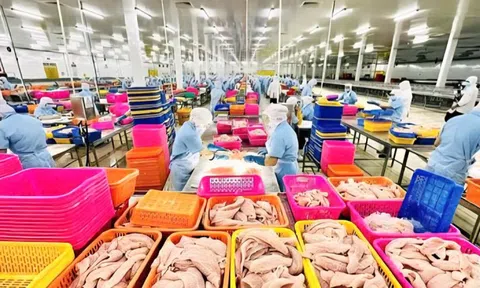 Hộ kinh doanh phải báo cơ quan thuế các tài khoản nhận tiền