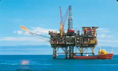 Một tổ chức nắm 1,8 tỷ thùng dầu dự trữ vừa họp khẩn, đề xuất giải phóng lượng dầu dự trữ lớn nhất lịch sử