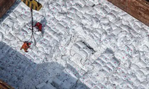 Sau đất hiếm, Trung Quốc siết xuất khẩu mặt hàng nuôi sống thế giới, làm rung chuyển thị trường lương thực toàn cầu