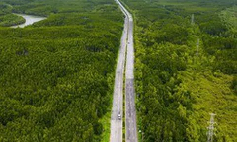 UBND TPHCM ban hành kế hoạch giải phóng mặt bằng tuyến đường sắt Bến Thành - Cần Giờ