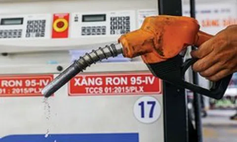 Phó Thủ tướng: Xử lý nghiêm hành vi vận chuyển trái phép xăng dầu qua biên giới