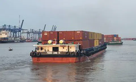 Sốt ruột với cước vận tải biển