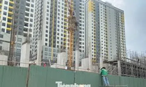 Giá căn hộ tăng hơn 300% trong 10 năm qua