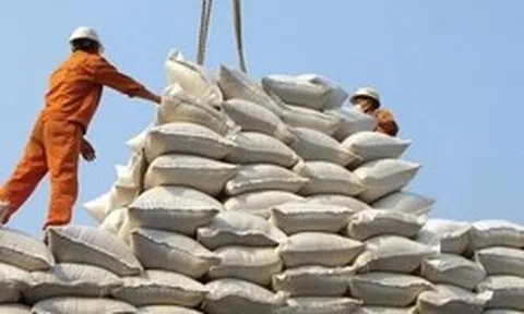 Vì sao xuất khẩu gạo giảm mạnh?