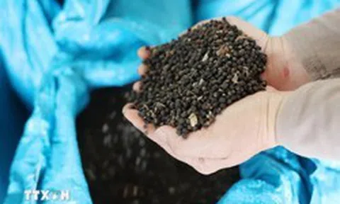 Việt Nam đón tin cực vui từ Thái Lan