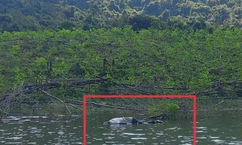 Gia Lai: Điều tra vụ người đàn ông chết chưa rõ nguyên nhân ở hồ Đá Trải