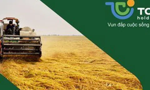 TCO Holdings muốn đầu tư vào Pacific Lines