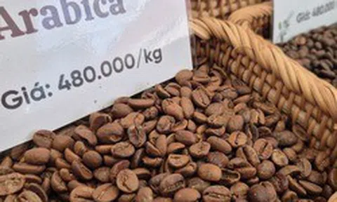 Giá cà phê hôm nay 25-3: Arabica tăng nóng, vượt 7.000 USD/tấn