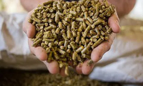 'Mỏ vàng' 250 triệu USD: Loại mặt hàng 'phụ phẩm' của Việt Nam đang được Trung Quốc săn đón ráo riết