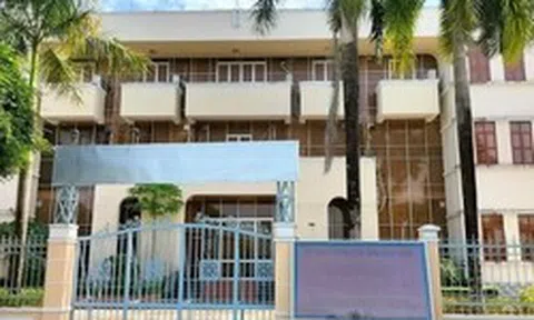 Gần 60ha đất công ở Cà Mau bị lấn chiếm, sử dụng sai mục đích