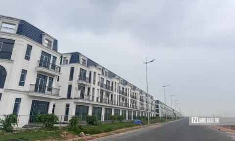 Hà Nội: Cỏ mọc bên trong hàng trăm biệt thự cạnh đường Vành đai 4