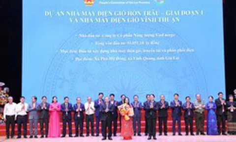 Tỷ phú Phạm Nhật Vượng muốn làm cụm nhà máy 8 tỷ USD tại Gia Lai