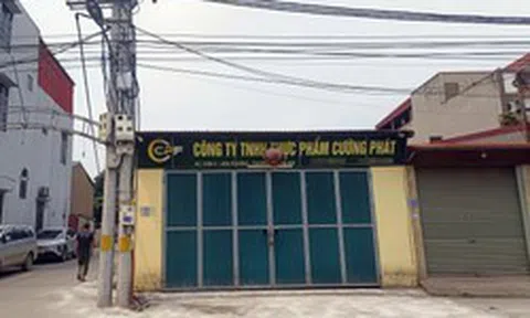 Chân dung công ty đưa thịt lợn bệnh vào nhiều trường học tại Hà Nội