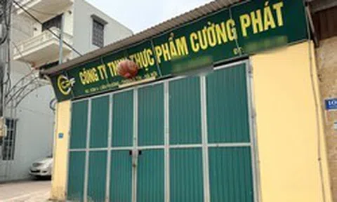 300 tấn thịt lợn bệnh ra thị trường: Doanh nghiệp suất ăn khẳng định không tiếp tay