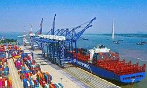 TP.HCM: Chuyển mục đích sử dụng gần 2,5ha đất để thực hiện dự án kho bãi - cảng thủy nội địa