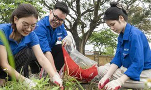 Tin vui: Hàng nghìn người ở Việt Nam tham gia một thử thách do quỹ của tỷ phú Phạm Nhật Vượng phát động