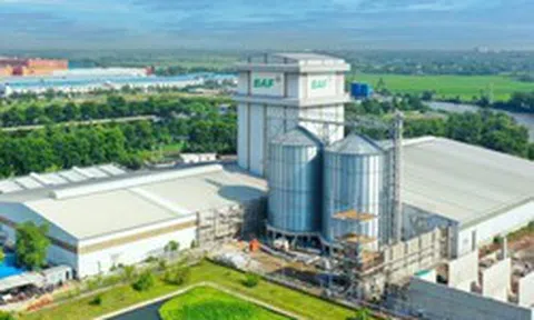 BAF muốn chia thưởng và trả cổ tức 20%, đưa CEO Siba Holdings vào Hội đồng quản trị