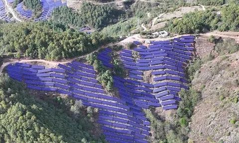 Risen Energy giành được đơn hàng mô-đun HJT 1,2GW từ China Huaneng Group, khẳng định vị thế dẫn đầu ngành