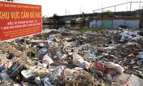Xả rác bừa bãi: Phạt nặng thay vì chỉ đi dọn!