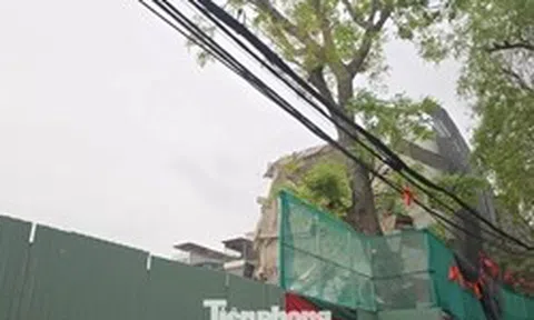 Phạt 200 triệu đồng đơn vị gây 'bão bụi' giữa Hà Nội