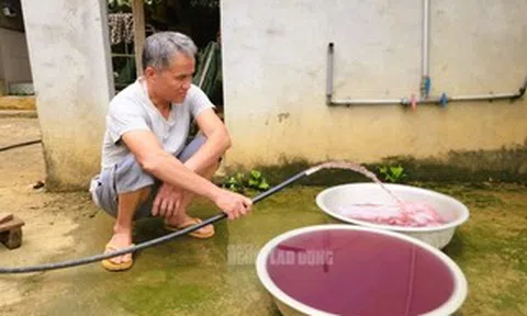 Nước giếng khoan nhà dân đổi màu tím, bốc mùi hôi thối bất thường