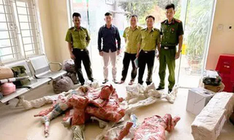 Công an thu giữ 15 phôi cây muội hồng ở bưu điện