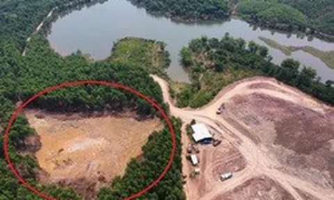 "Đất tặc" ở Đà Nẵng bị phạt, tịch thu gần nửa tỉ đồng