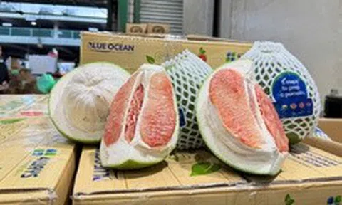 Lô bưởi Việt Nam lần đầu vào Úc